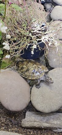 Pilcher Park Nature Center photo 2