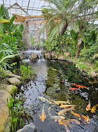 Pilcher Park Nature Center photo 3