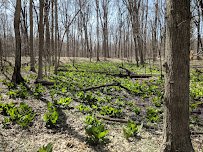 Pilcher Park Nature Center photo 6
