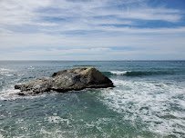 Ocean Institute photo 5