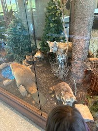 Kirkendall Nature Center photo 4