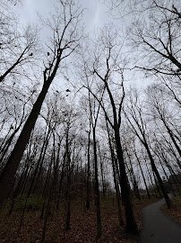 Kirkendall Nature Center photo 5