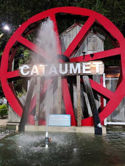 Cataumet Light Mini Golf photo 6