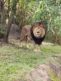 Elephant's Trunk photo 2