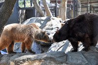 Folsom City Zoo Sanctuary