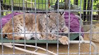 Folsom City Zoo Sanctuary photo 2