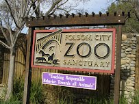 Folsom City Zoo Sanctuary photo 3