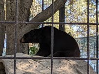 Folsom City Zoo Sanctuary photo 6