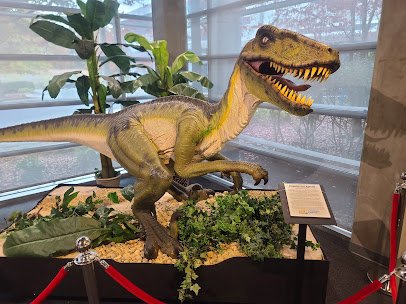Wonders Center & Science Museum photo 5