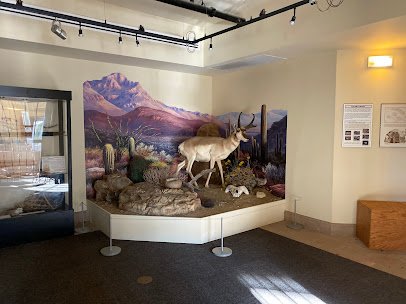La Quinta Museum photo 6