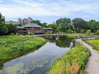 Nature Boardwalk at Lincoln Park Zoo photo 6