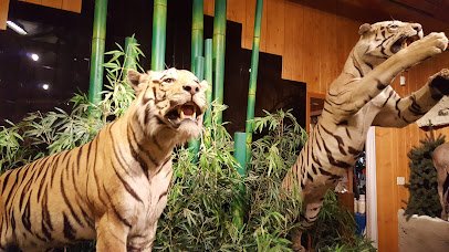 Bolack Museum of Fish and Wildlife photo 2