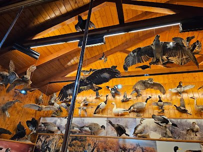 Bolack Museum of Fish and Wildlife photo 6