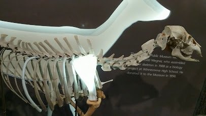 Oshkosh Public Museum photo 2