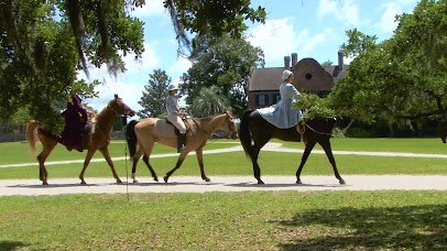 Middleton Place photo 2