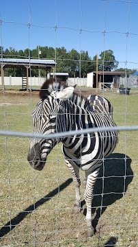 It's A Zoo Life photo 4