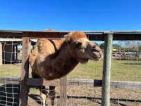 It's A Zoo Life photo 5