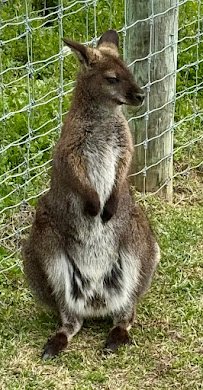 It's A Zoo Life photo 6