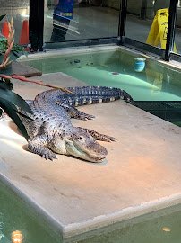 Phillips Park Zoo photo 3