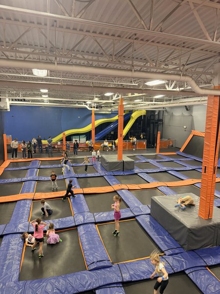 Airborne Adventure Park - Brighton, MI photo 3