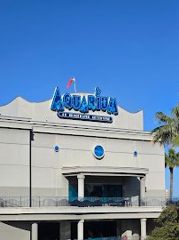 Wake Island Waterpark photo 3