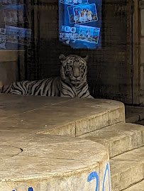 Wake Island Waterpark photo 4