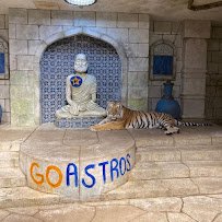 Wake Island Waterpark photo 5