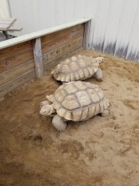 Adirondack Animal Land photo 6