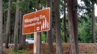 Whispering Firs Stormwater Park - Kitsap County photo 3