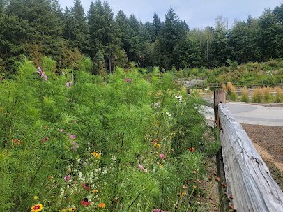 Whispering Firs Stormwater Park - Kitsap County photo 4