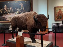 Woolaroc Museum & Wildlife Preserve photo 3