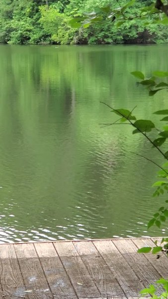 Chattahoochee Nature Center photo 2