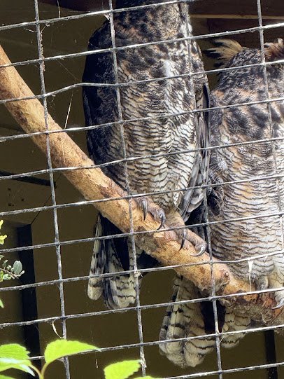 Chattahoochee Nature Center photo 5