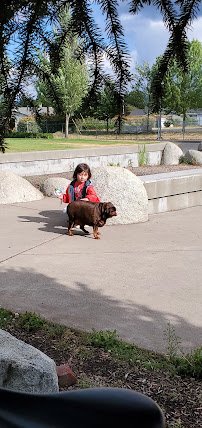 White City Splash Park photo 5