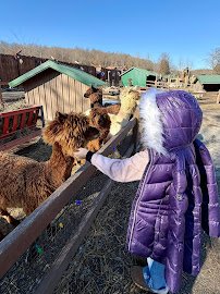 Living Treasures Animal Park