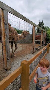 Living Treasures Animal Park photo 2