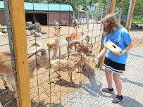 Living Treasures Animal Park photo 3