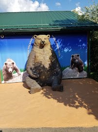 Living Treasures Animal Park photo 4