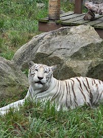 Living Treasures Animal Park photo 6