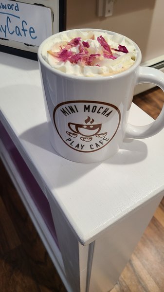 Mini Mocha Play Cafe photo 5