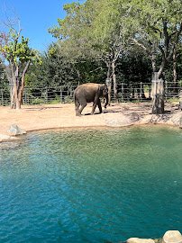 Outdoor Learning Theater - Fort Worth Zoo