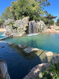 Outdoor Learning Theater - Fort Worth Zoo photo 4