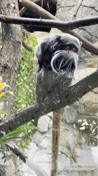 Small Mammal House photo 2