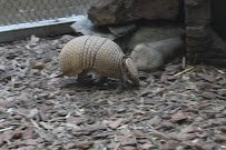 Small Mammal House photo 3