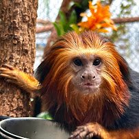 Small Mammal House photo 4