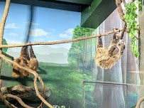 Small Mammal House photo 6