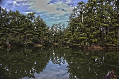 North Charleston Wannamaker County Park photo 4