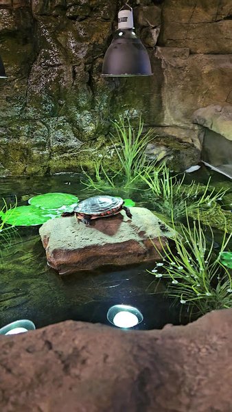 Blacklick Woods Nature Center photo 2