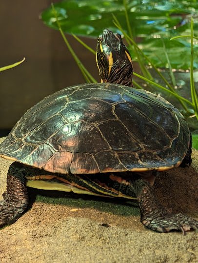Blacklick Woods Nature Center photo 6