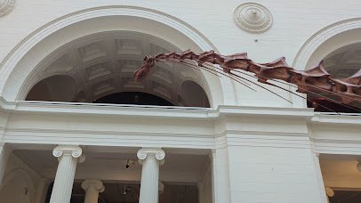 The Museum Campus photo 2
